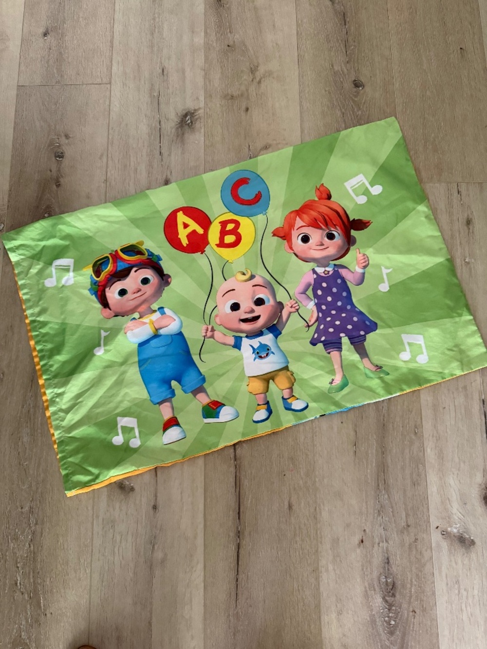 Cocomelon pillow case